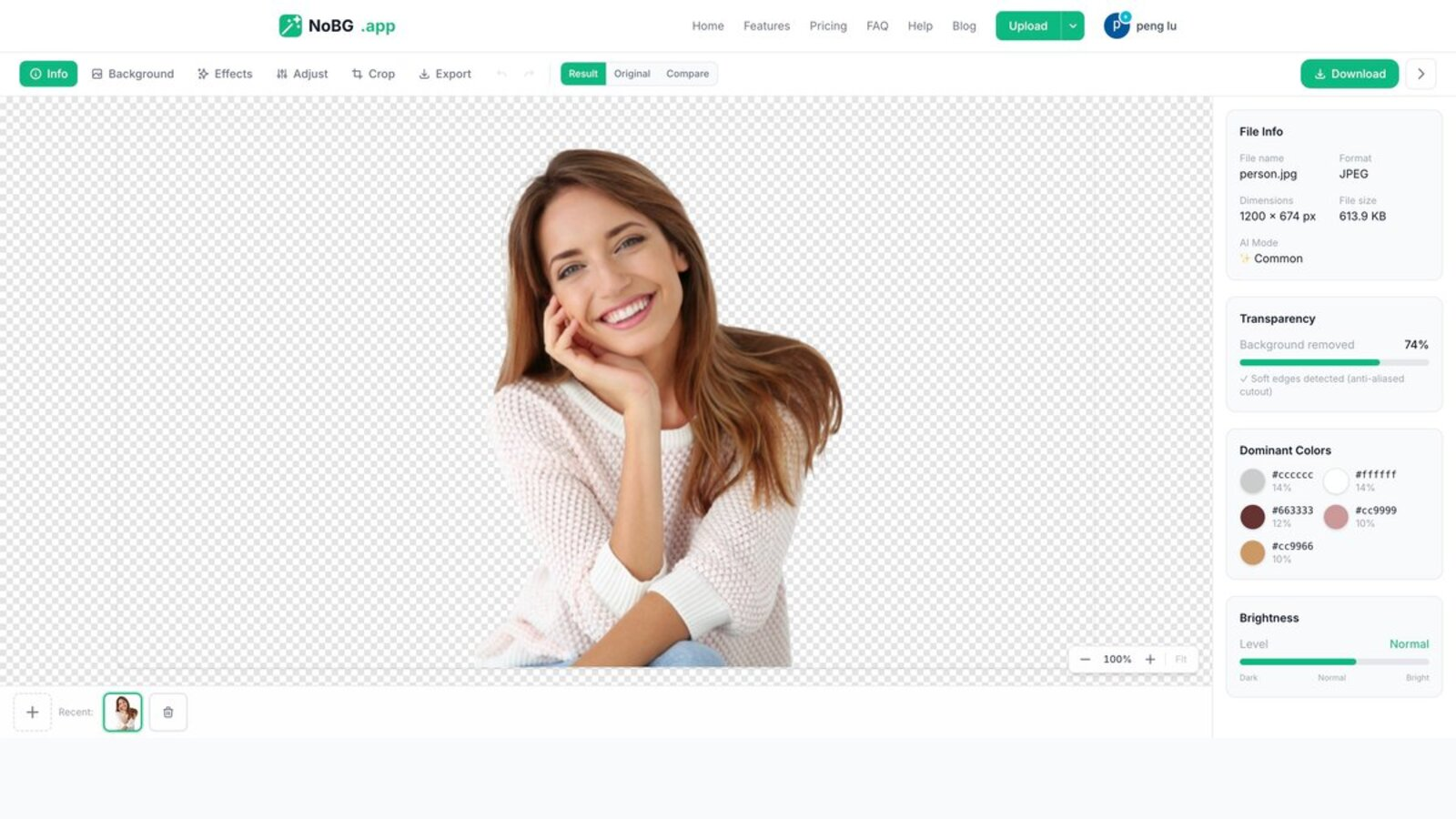 NoBG editor interface — Result tab with transparency, dominant colors, and file info sidebar